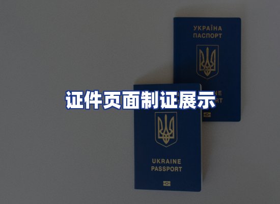 证件页面制证展示